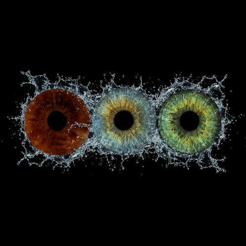 Eterna Iris – Family Digital 500kr Print/ram 800kr