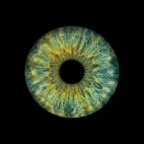 Ingen effekt (endast iris)