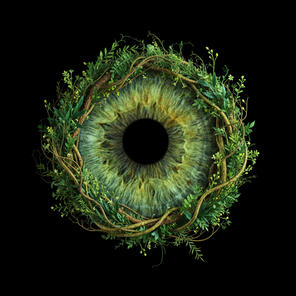 Natur/jungel