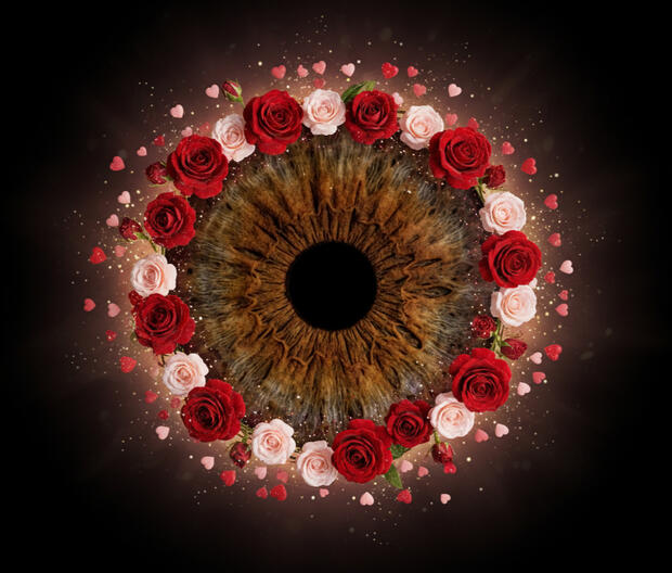 Valentine effekt Limited edition! Slut = 2026,03,01